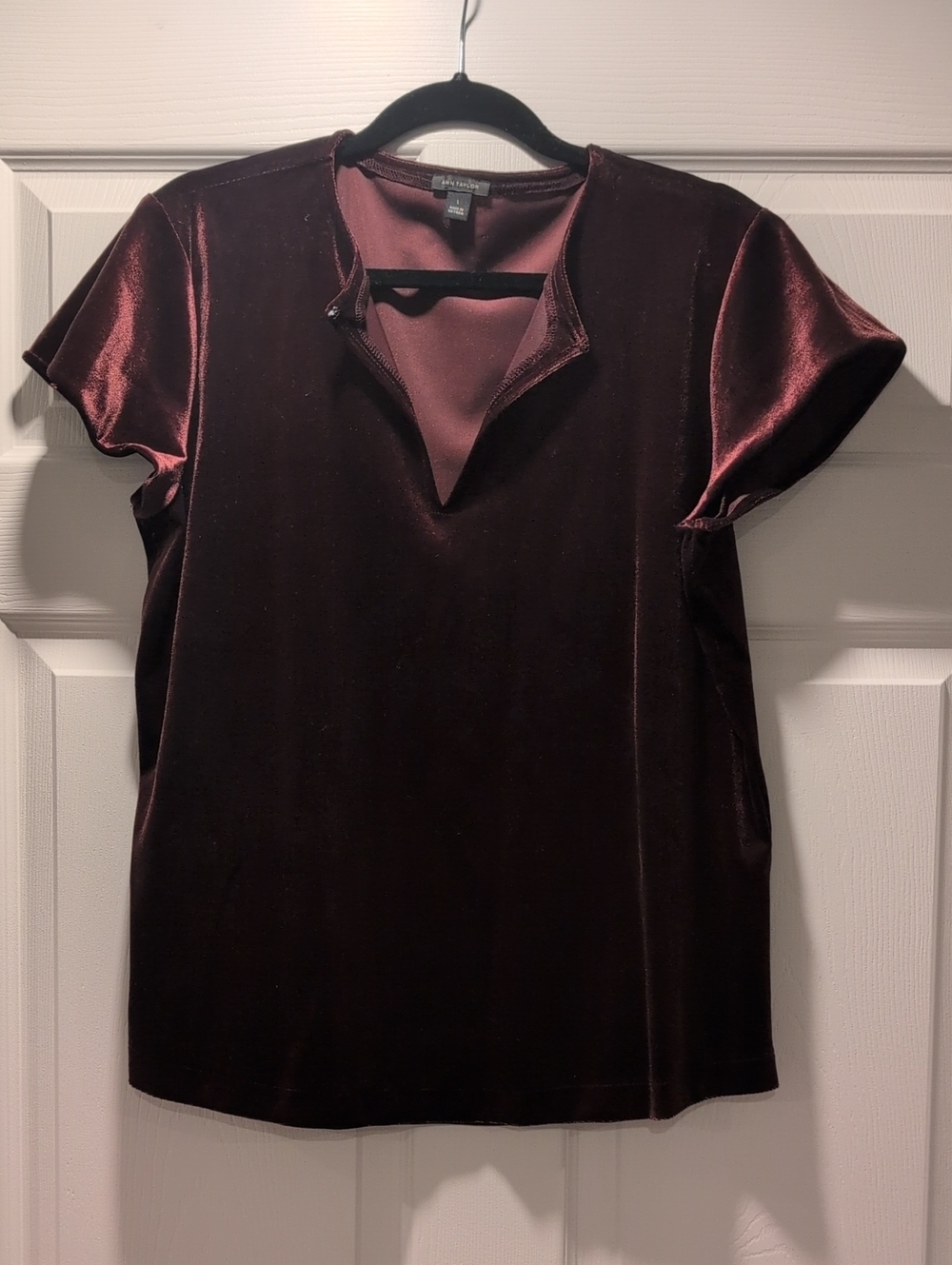 Velvet Short Sleeve Top in Deep Wine